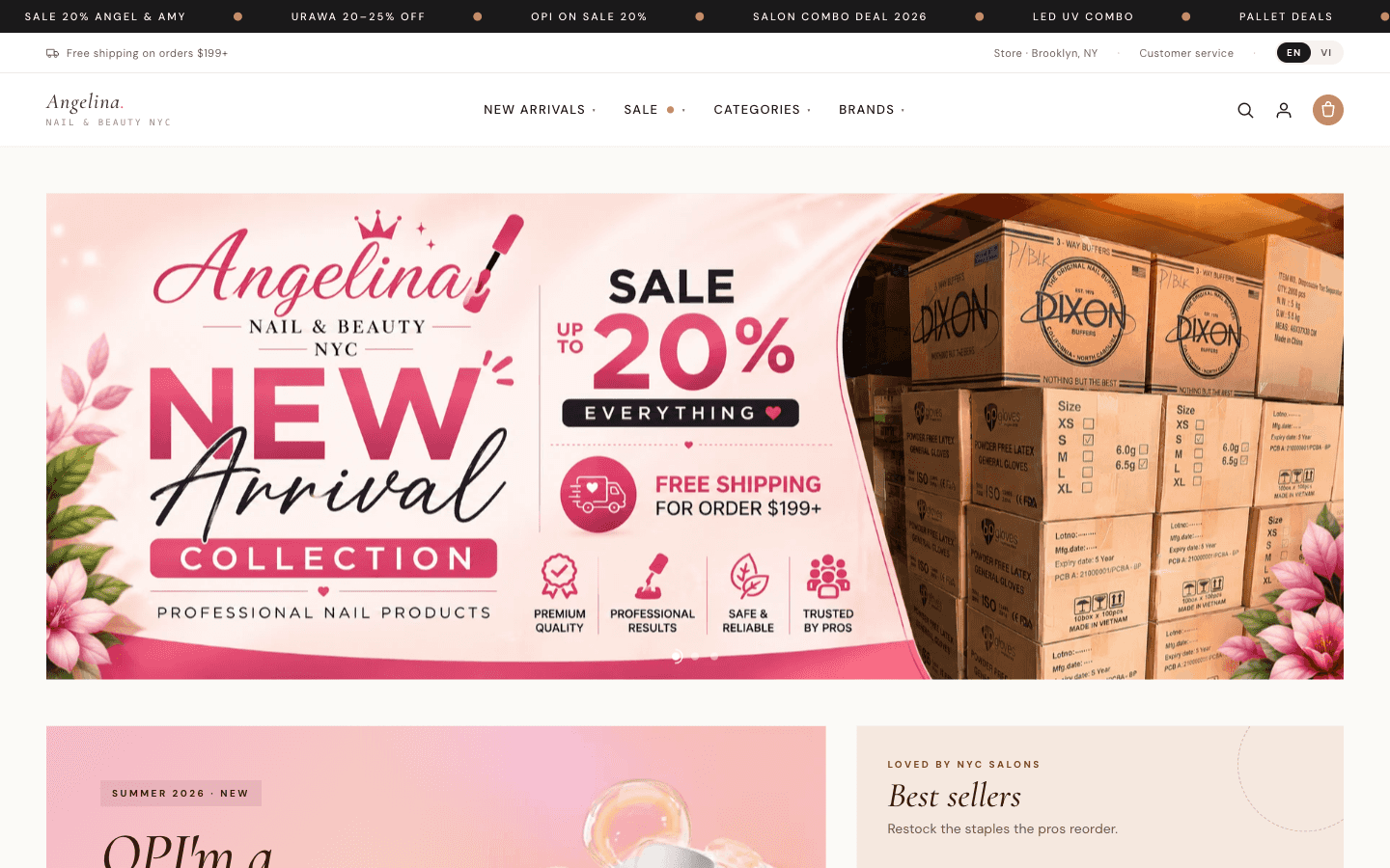 The ANS storefront on desktop